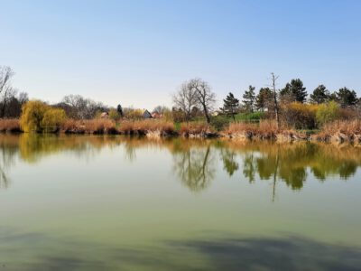 Soponyai-tó: a védett angolpark egyik ékessége