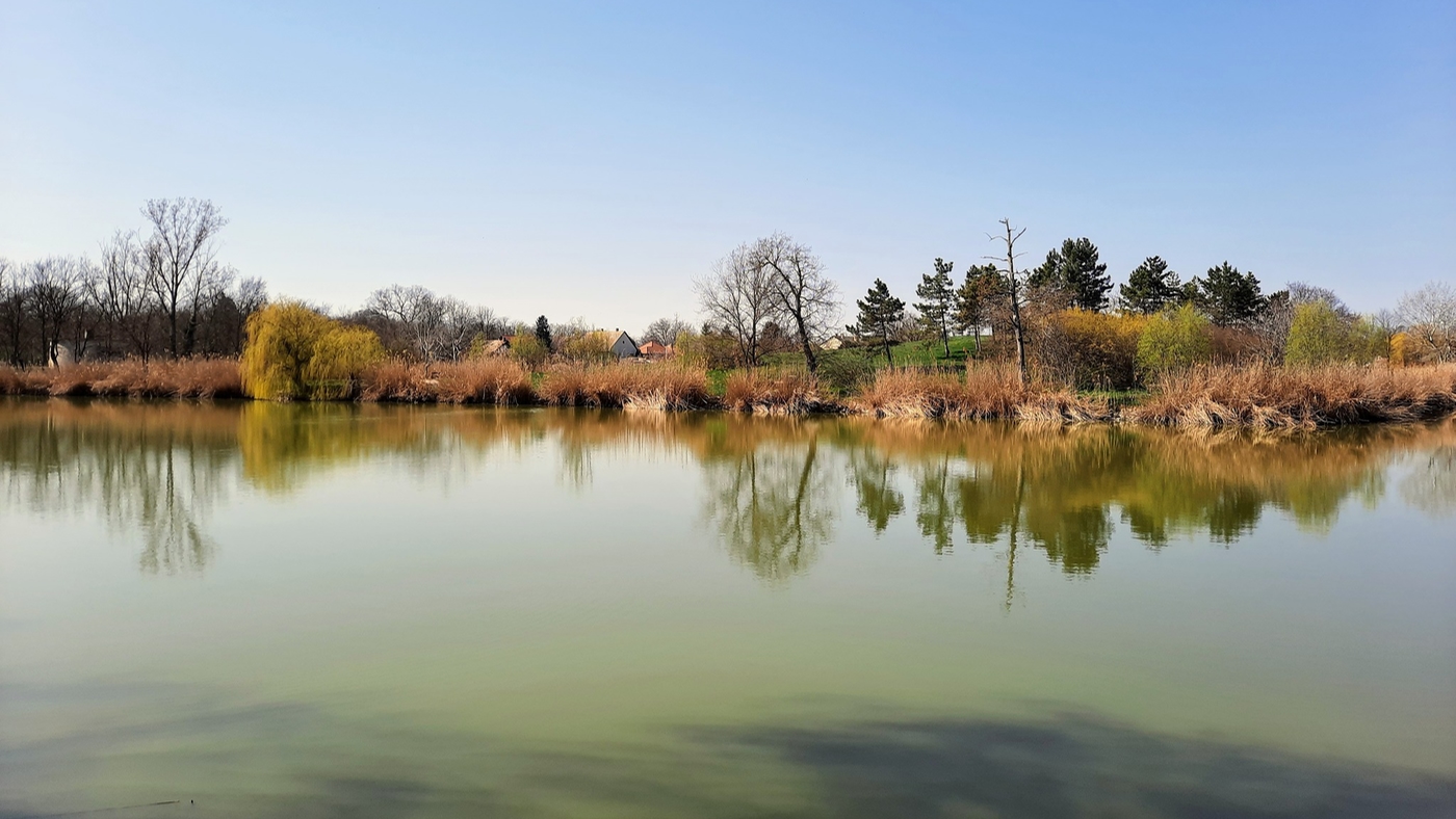 Soponyai-tó: a védett angolpark egyik ékessége