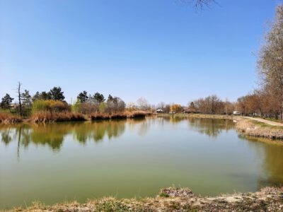 Soponyai-tó: a védett angolpark egyik ékessége