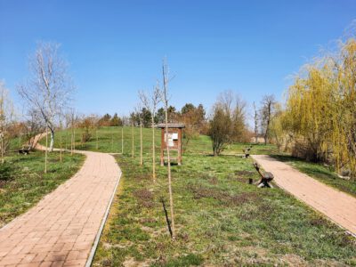 Soponyai-tó: a védett angolpark egyik ékessége