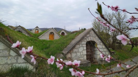 A Tokaji borvidék hercegkúti pincesorainak varázslatos világa