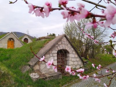 A Tokaji borvidék hercegkúti pincesorainak varázslatos világa