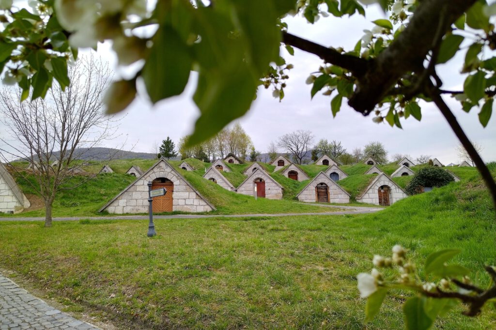 A Tokaji borvidék hercegkúti pincesorainak varázslatos világa