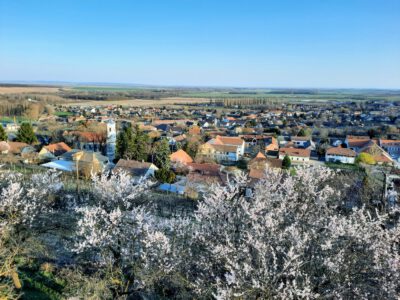 A villányi Templom-hegyi kilátó, ahonnan káprázatos a panoráma
