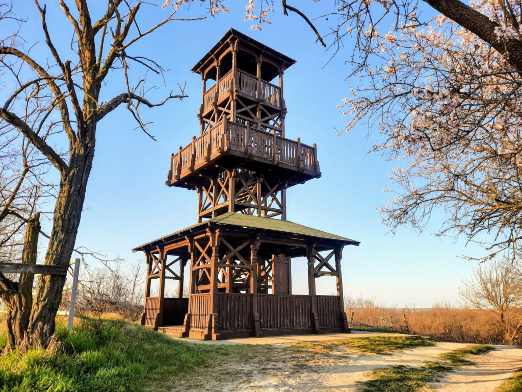 A villányi Templom-hegyi kilátó, ahonnan káprázatos a panoráma