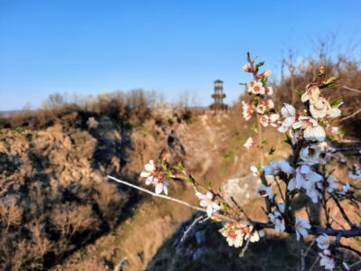 A villányi Templom-hegyi kilátó, ahonnan káprázatos a panoráma