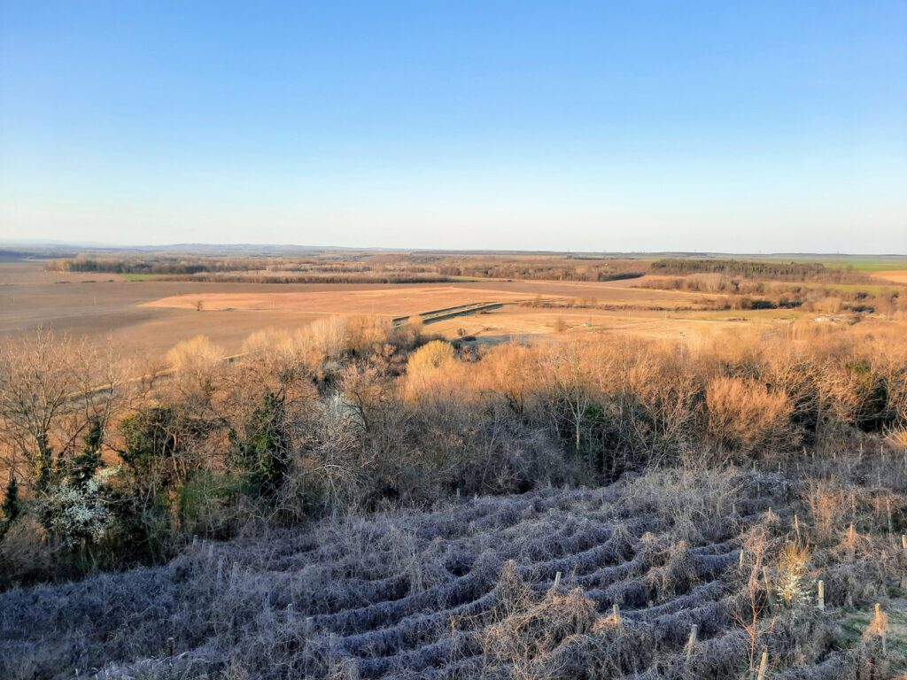A villányi Templom-hegyi kilátó, ahonnan káprázatos a panoráma