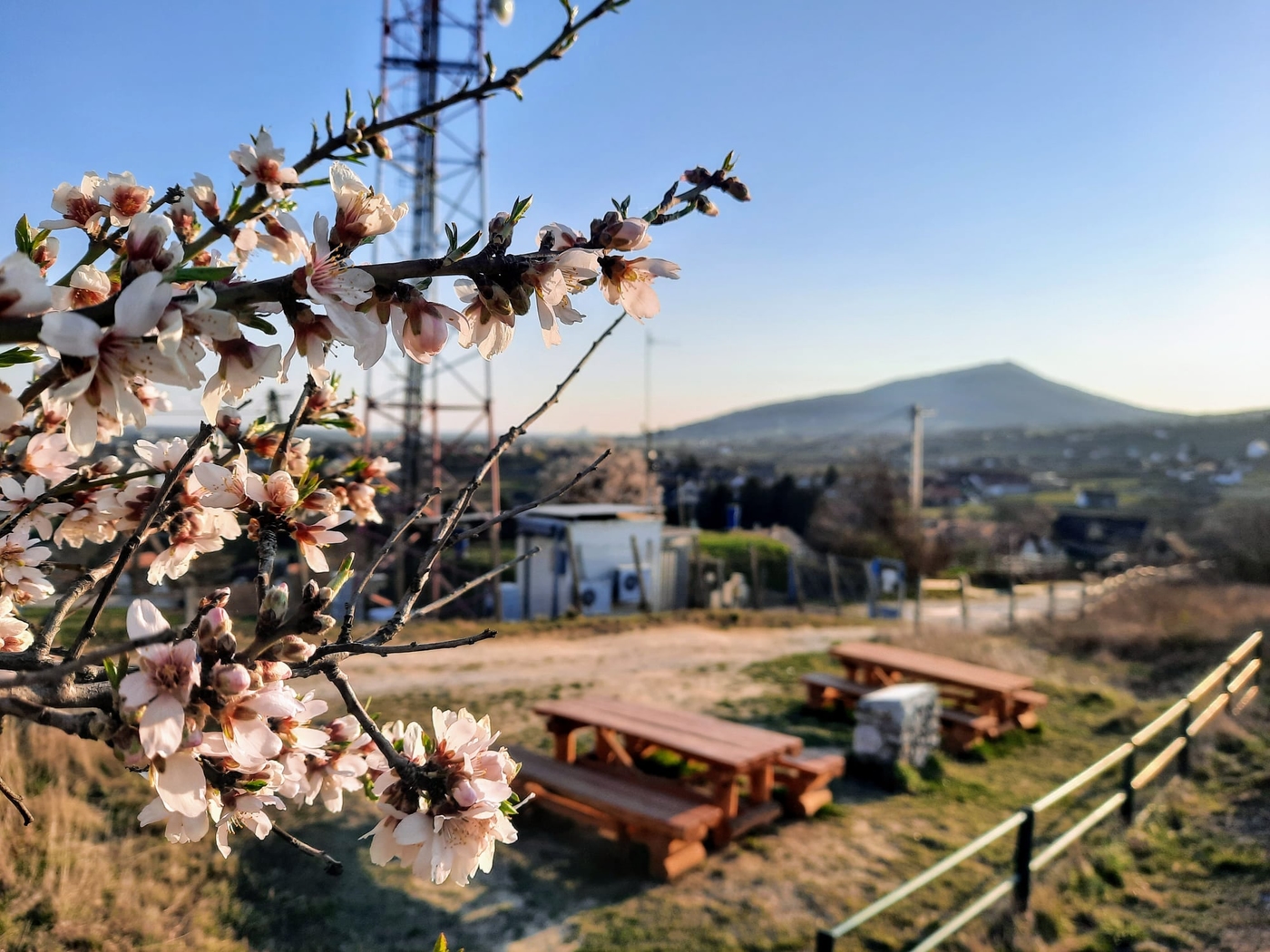 A villányi Templom-hegyi kilátó, ahonnan káprázatos a panoráma