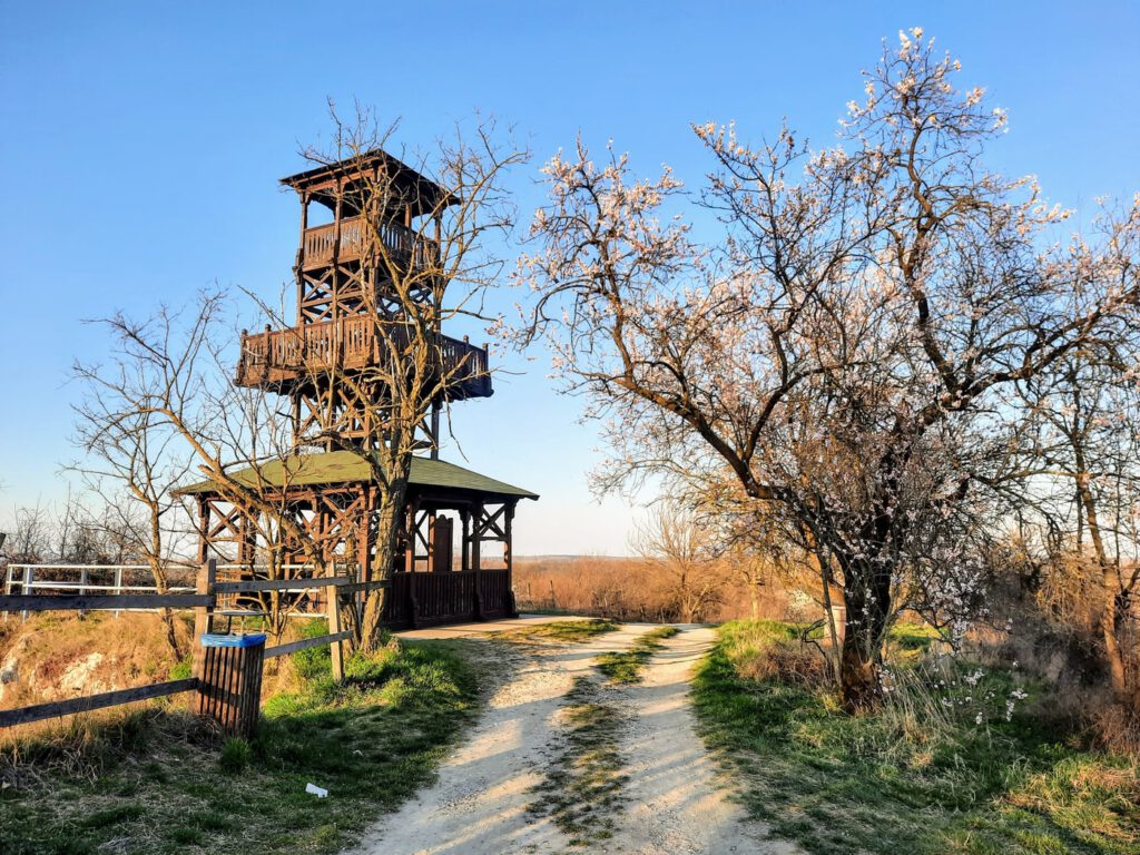A villányi Templom-hegyi kilátó, ahonnan káprázatos a panoráma