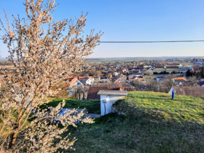 A villányi Templom-hegyi kilátó, ahonnan káprázatos a panoráma