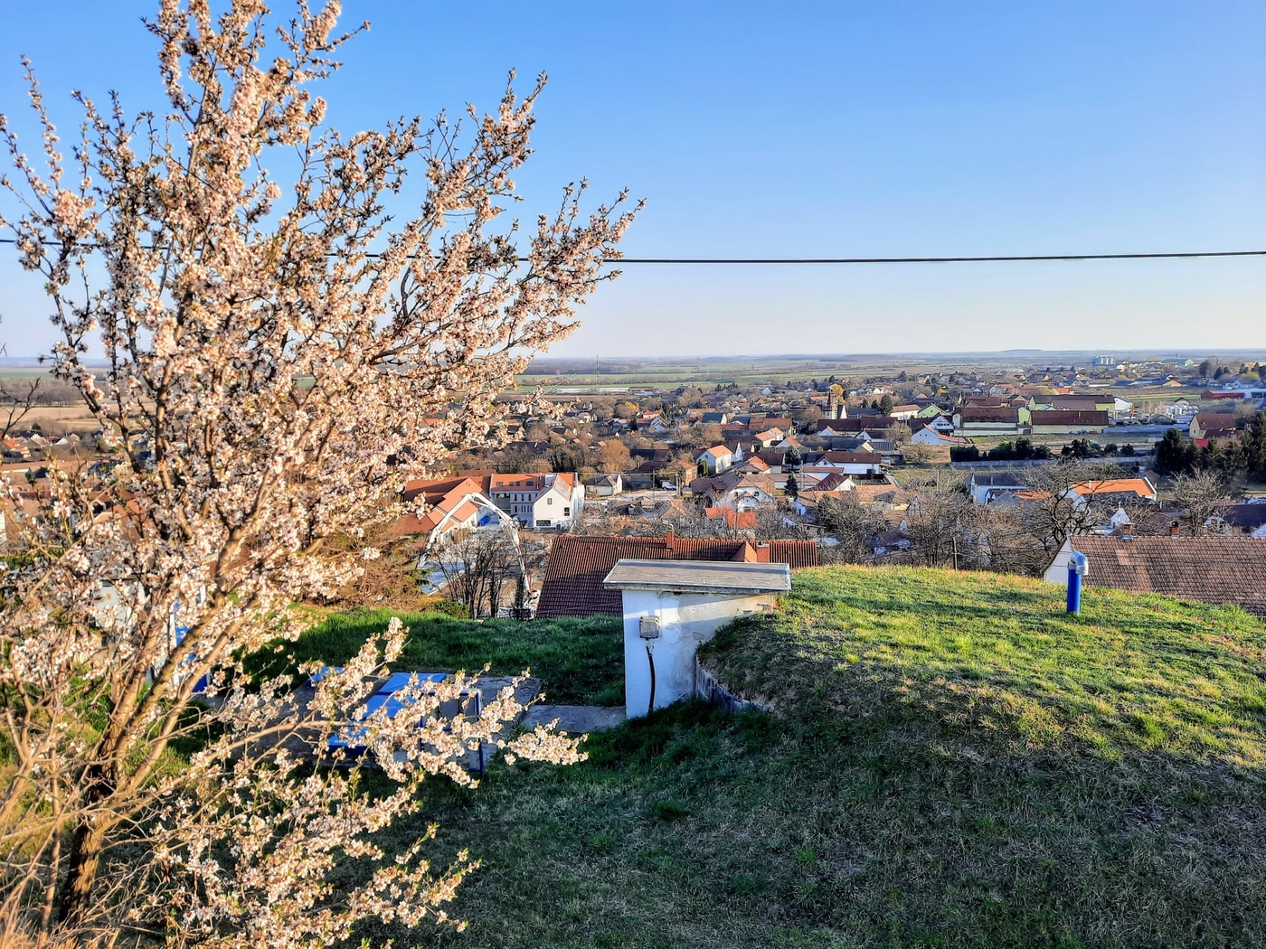 A villányi Templom-hegyi kilátó, ahonnan káprázatos a panoráma