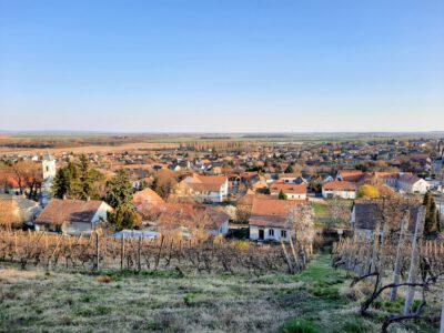 A villányi Templom-hegyi kilátó, ahonnan káprázatos a panoráma