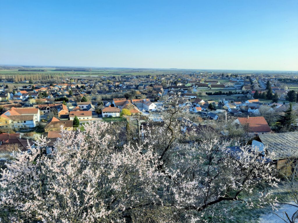 A villányi Templom-hegyi kilátó, ahonnan káprázatos a panoráma