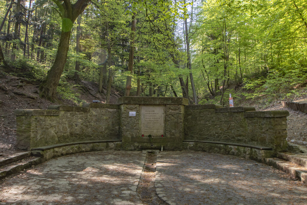 Ciklámen tanösvény