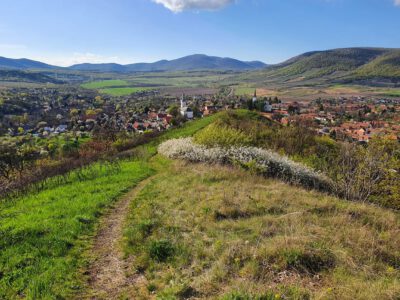 Erdőbénye, a Tokaj-Hegyaljai borvidék hangulatos kis falvacskája