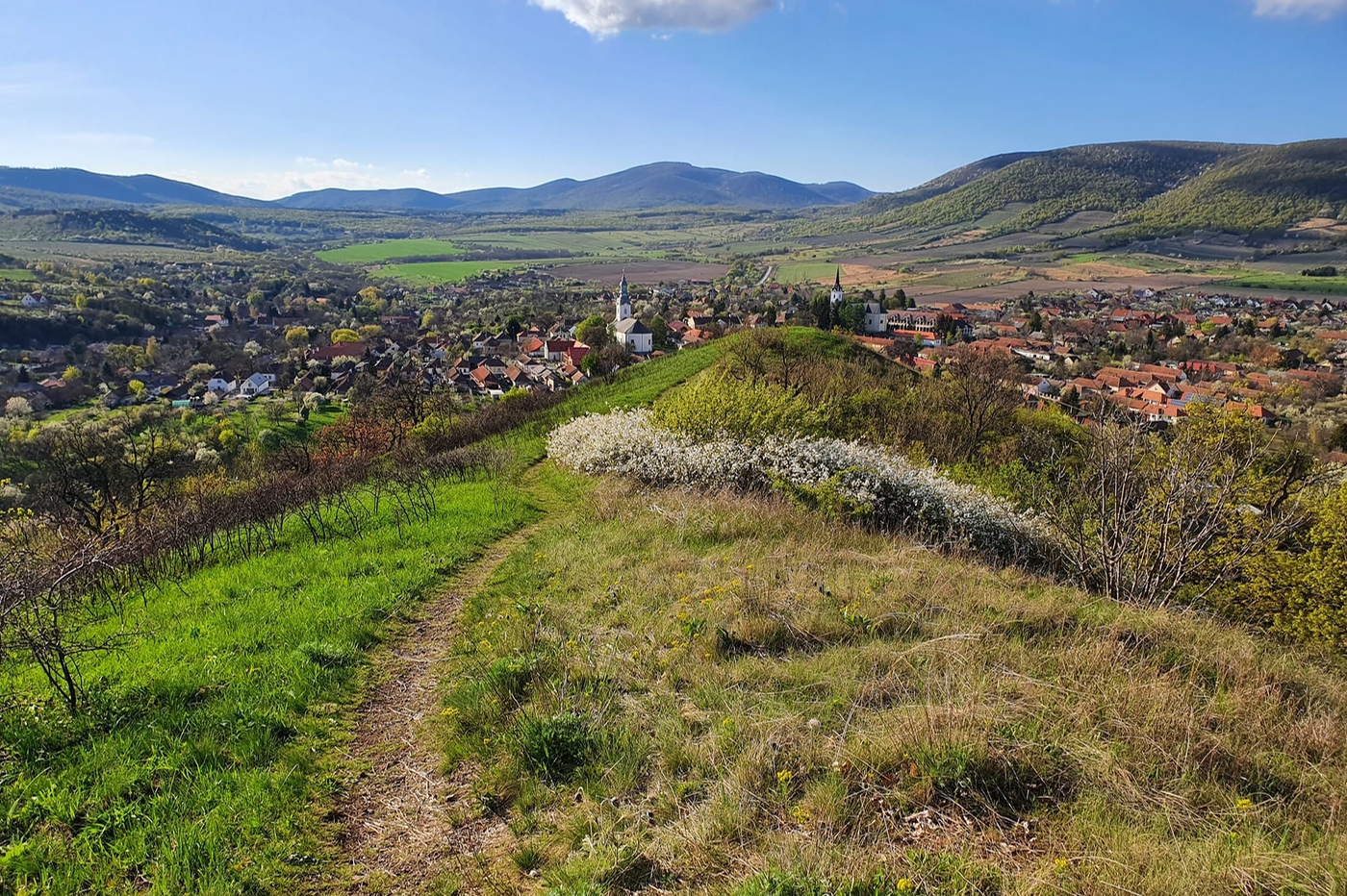 Erdőbénye, a Tokaj-Hegyaljai borvidék hangulatos kis falvacskája