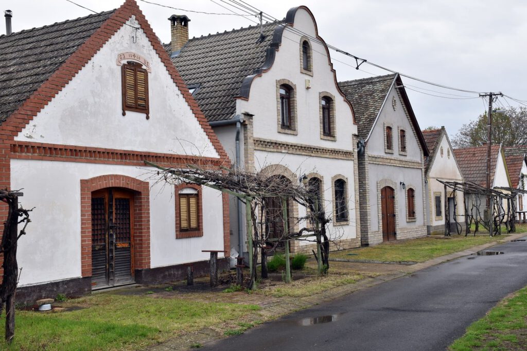Hajósi pincefalu, melynek 24 utcájában 1200 pince sorakozik