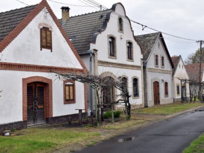 Hajósi pincefalu, melynek 24 utcájában 1200 pince sorakozik
