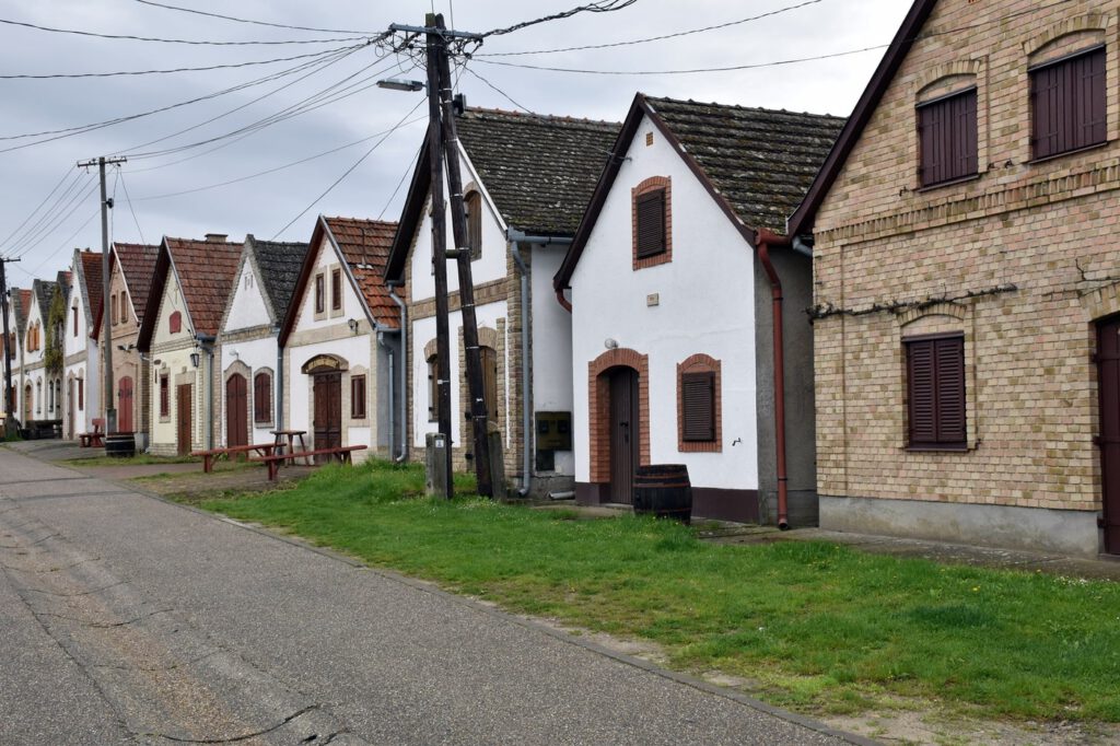 Hajósi pincefalu, melynek 24 utcájában 1200 pince sorakozik