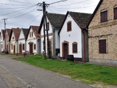 Hajósi pincefalu, melynek 24 utcájában 1200 pince sorakozik