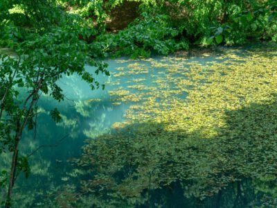 Jósvafői tengerszem, az Aggteleki Nemzeti Park egyik drágaköve