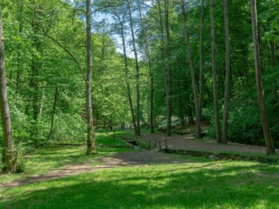Jósvafői tengerszem, az Aggteleki Nemzeti Park egyik drágaköve