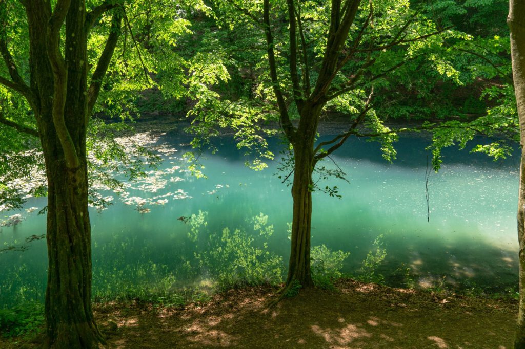 Jósvafői tengerszem, az Aggteleki Nemzeti Park egyik drágaköve