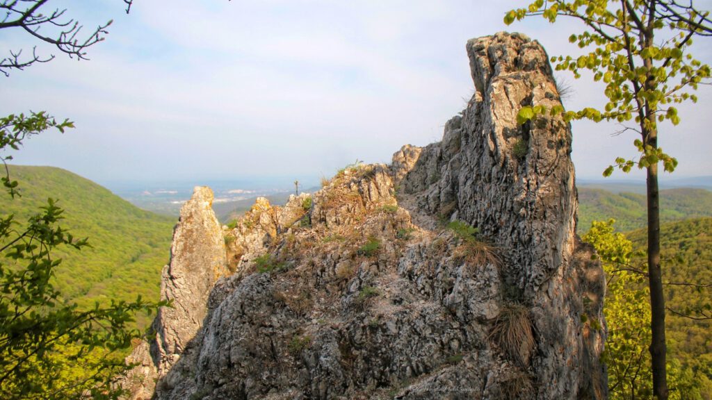 Pilisi Fekete-kő, a dolomit tornyok, ahova egy bükkösön át vezet az út