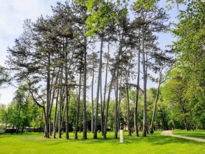 Kirándulás a Kazinczy Emlékparkban, a nyelvújító egykori gyümölcsös kertjében