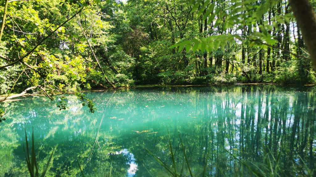 Tatai Fényes tanösvény, a 1,5 kilométer hosszú út a lápréteken és források felett