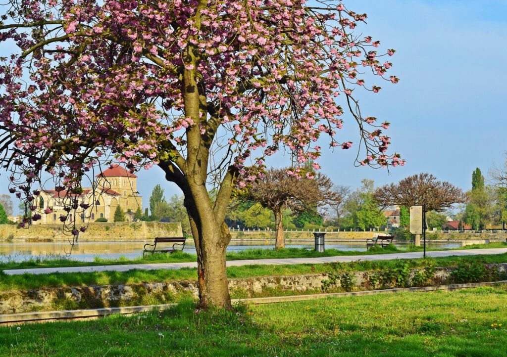 Tatai vár, az Öreg-tó fölé magasodó középkori erődítmény