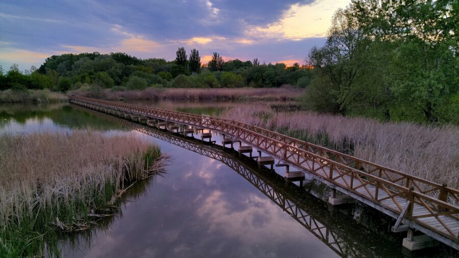 A Tisza Kenyérgyári-holtágának vadregényes tanösvénye Tiszalökön