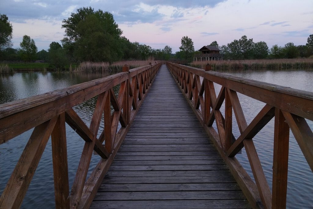 A Tisza Kenyérgyári-holtágának vadregényes tanösvénye Tiszalökön