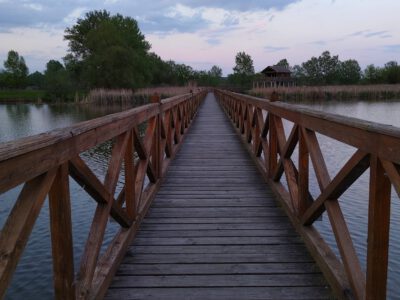 A Tisza Kenyérgyári-holtágának vadregényes tanösvénye Tiszalökön