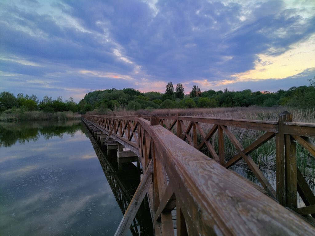 A Tisza Kenyérgyári-holtágának vadregényes tanösvénye Tiszalökön
