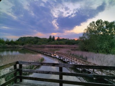 A Tisza Kenyérgyári-holtágának vadregényes tanösvénye Tiszalökön