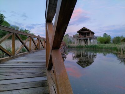 A Tisza Kenyérgyári-holtágának vadregényes tanösvénye Tiszalökön