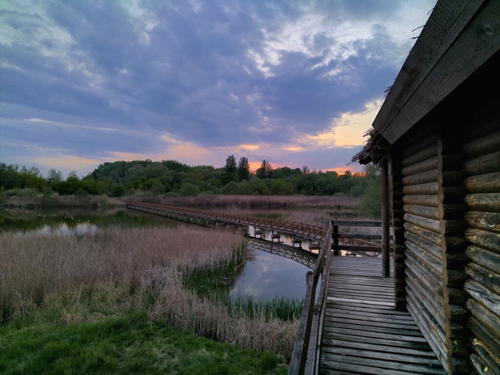 A Tisza Kenyérgyári-holtágának vadregényes tanösvénye Tiszalökön