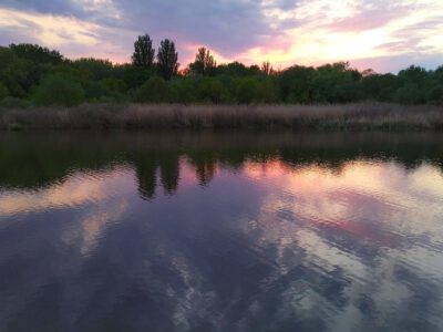 A Tisza Kenyérgyári-holtágának vadregényes tanösvénye Tiszalökön