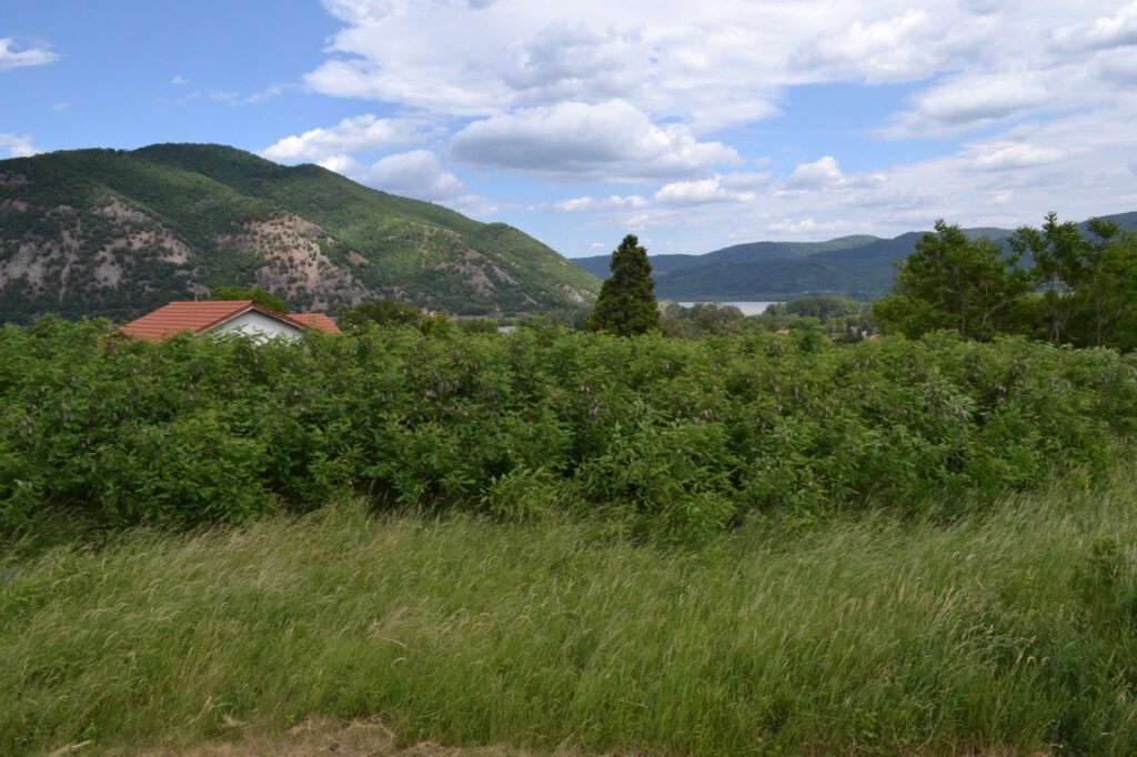 Királyi prépostság romjai Dömösön, ahonnan mennyei a panoráma