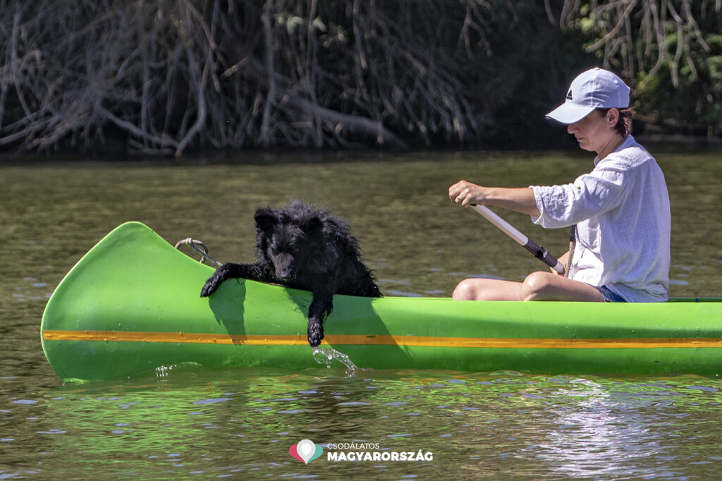 Kizárólag vízi úton közelíthető meg a Tisza-tó legújabb kilátója