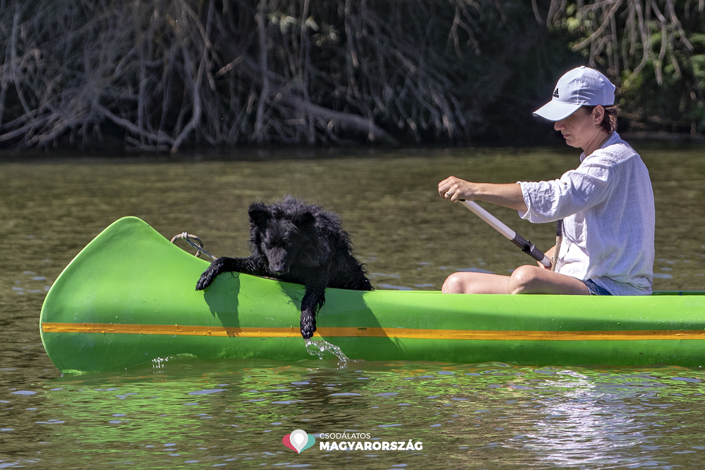 Kizárólag vízi úton közelíthető meg a Tisza-tó legújabb kilátója