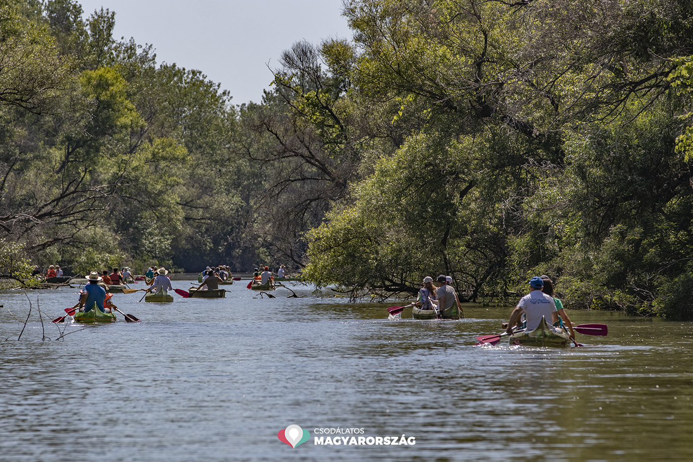Kizárólag vízi úton közelíthető meg a Tisza-tó legújabb kilátója