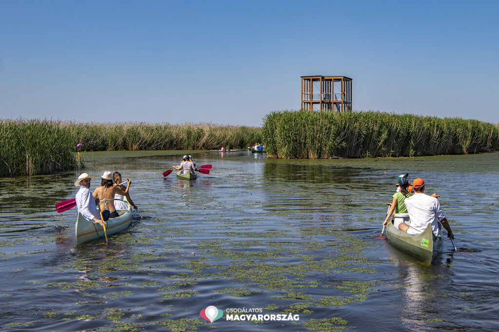 Kizárólag vízi úton közelíthető meg a Tisza-tó legújabb kilátója
