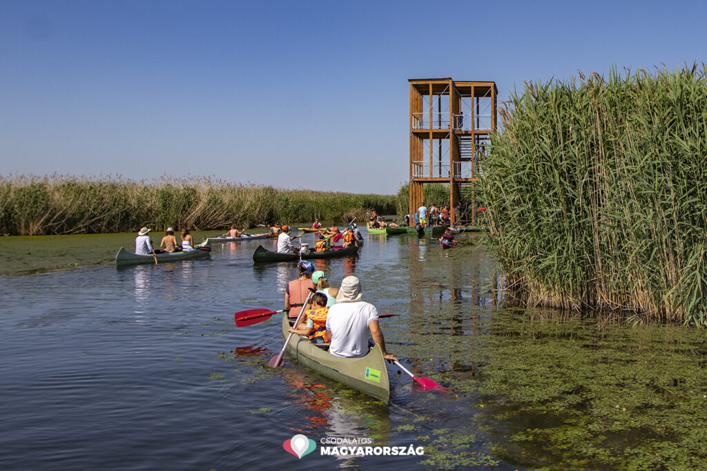 Kizárólag vízi úton közelíthető meg a Tisza-tó legújabb kilátója
