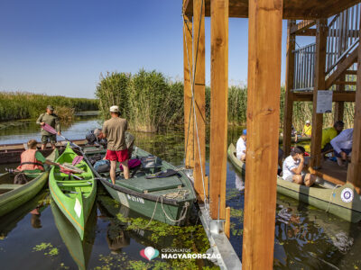 Kizárólag vízi úton közelíthető meg a Tisza-tó legújabb kilátója