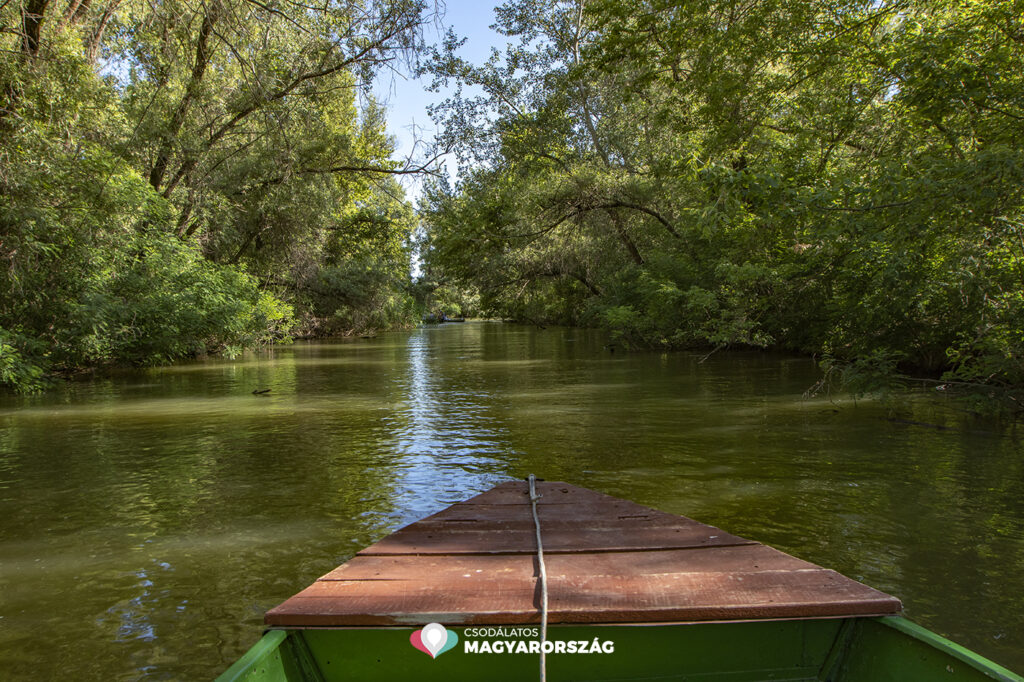 Kizárólag vízi úton közelíthető meg a Tisza-tó legújabb kilátója