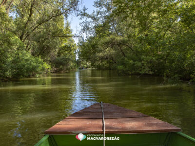 Kizárólag vízi úton közelíthető meg a Tisza-tó legújabb kilátója