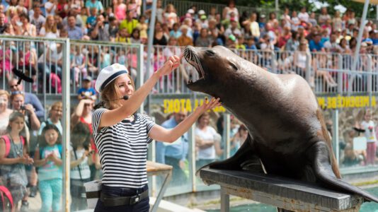 Ismét a Nyíregyházi Állatpark lett kategóriájában Európa legjobb állatkertje