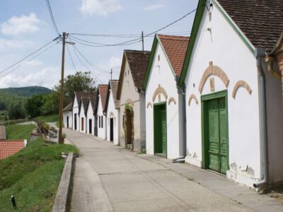 Palkonyai gasztorfalu, a faluvégi domboldalt uraló pincesor
